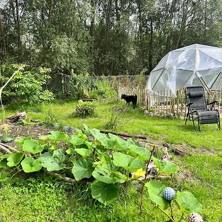 Homestay Lieblingsplatz - An Der Liebesinsel